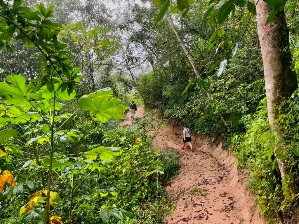 path-to-the-mismaloya-waterfalls